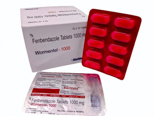 WORMENTAL 100TAB (Fenbendazole 1000mg)