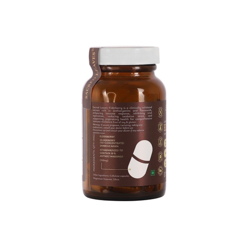 Elderberry Back
