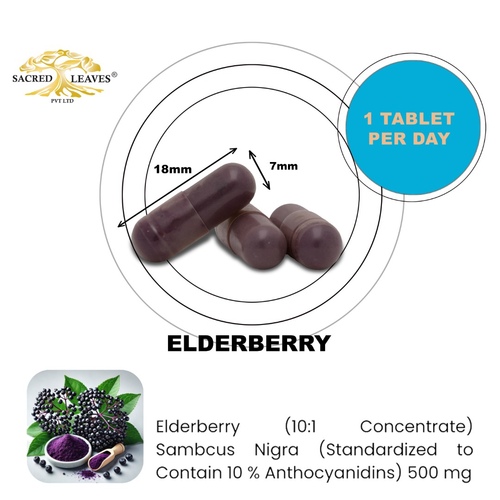 ELDERBERRY