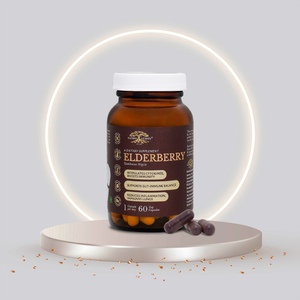 Elderberry extract (Экстракт плодов чёрной бузины)
