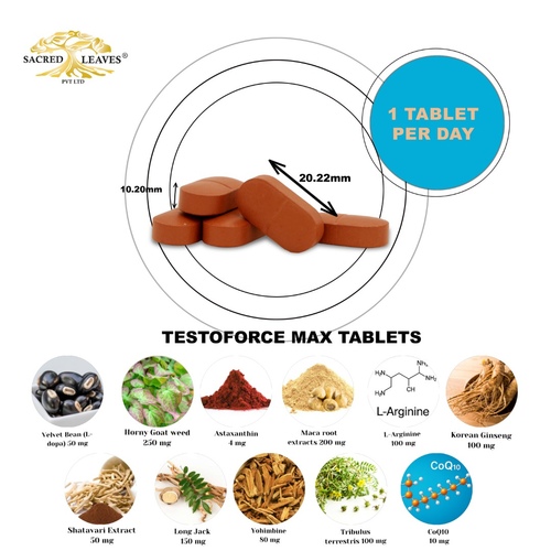 testoforce max